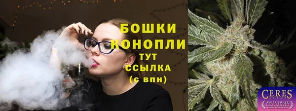 СК Михайлов