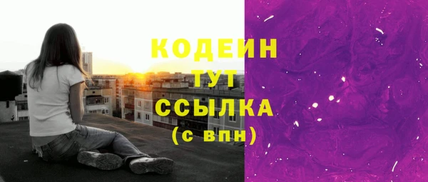 ешки Новодвинск