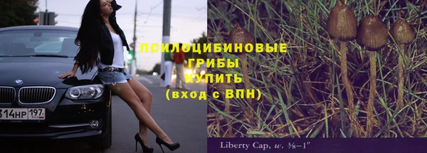 соль ск Нязепетровск