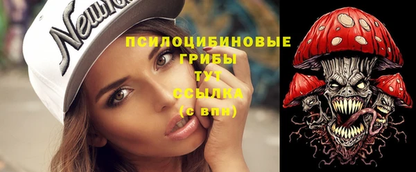 винт Нягань