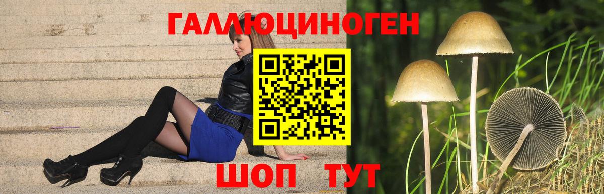 Псилоцибиновые грибы Cubensis  Вход с VPN  Галлюциногенные грибы Cubensis  Петрозаводск 
